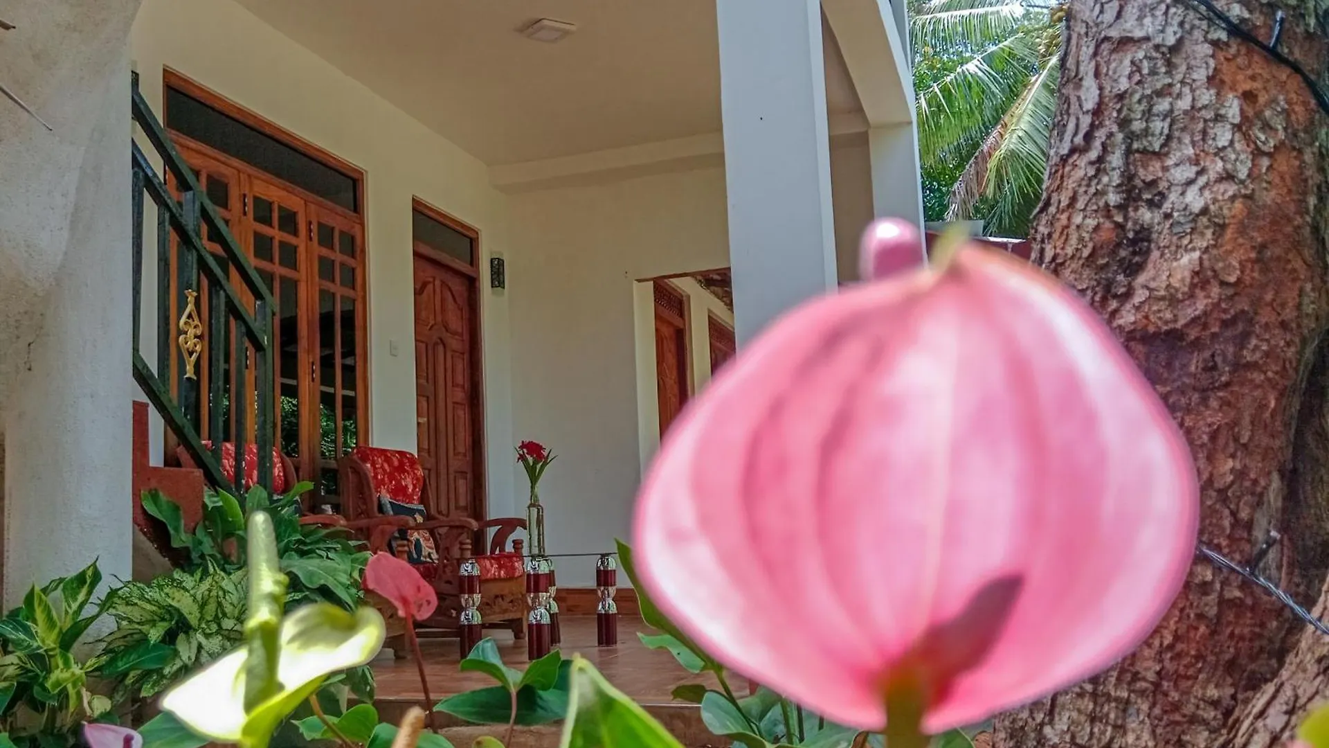 Gimhana Homestay Sigiriya Sri Lanka