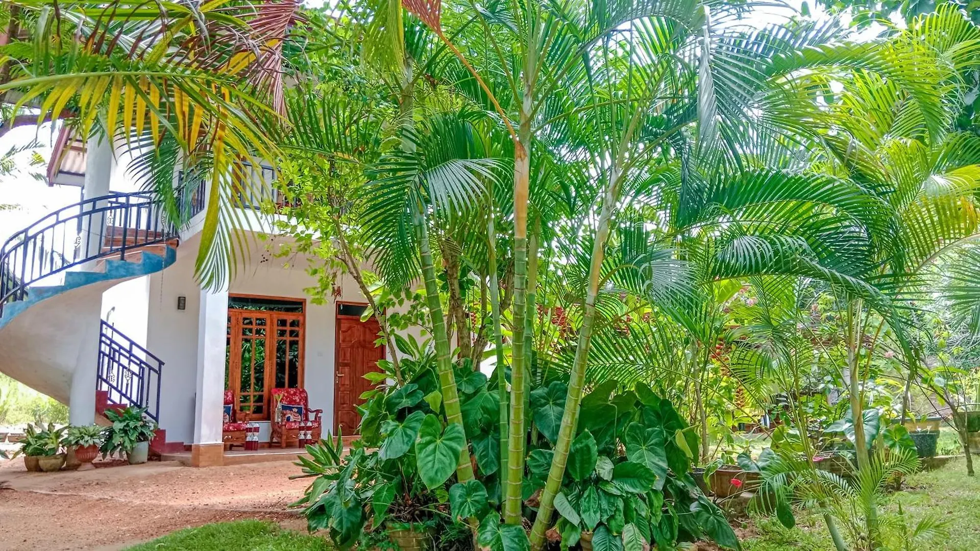 Gimhana Homestay Sigiriya Sri Lanka