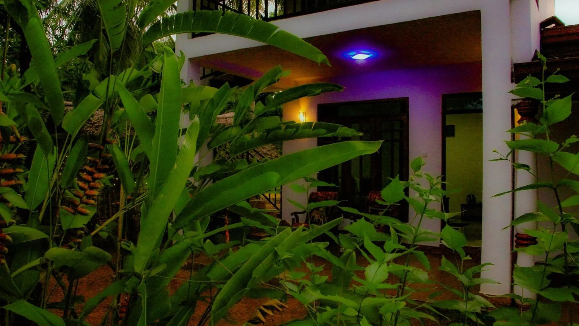 Gimhana Homestay Sigiriya Sri Lanka